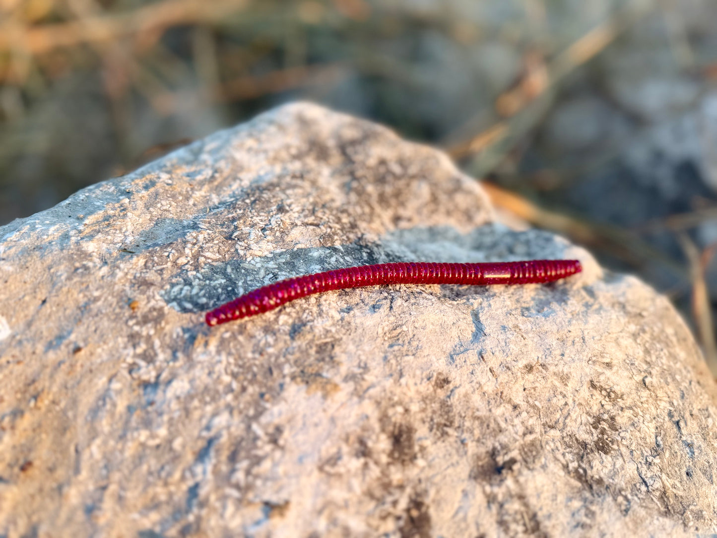 6.25 inch Shaky worm 5pk
