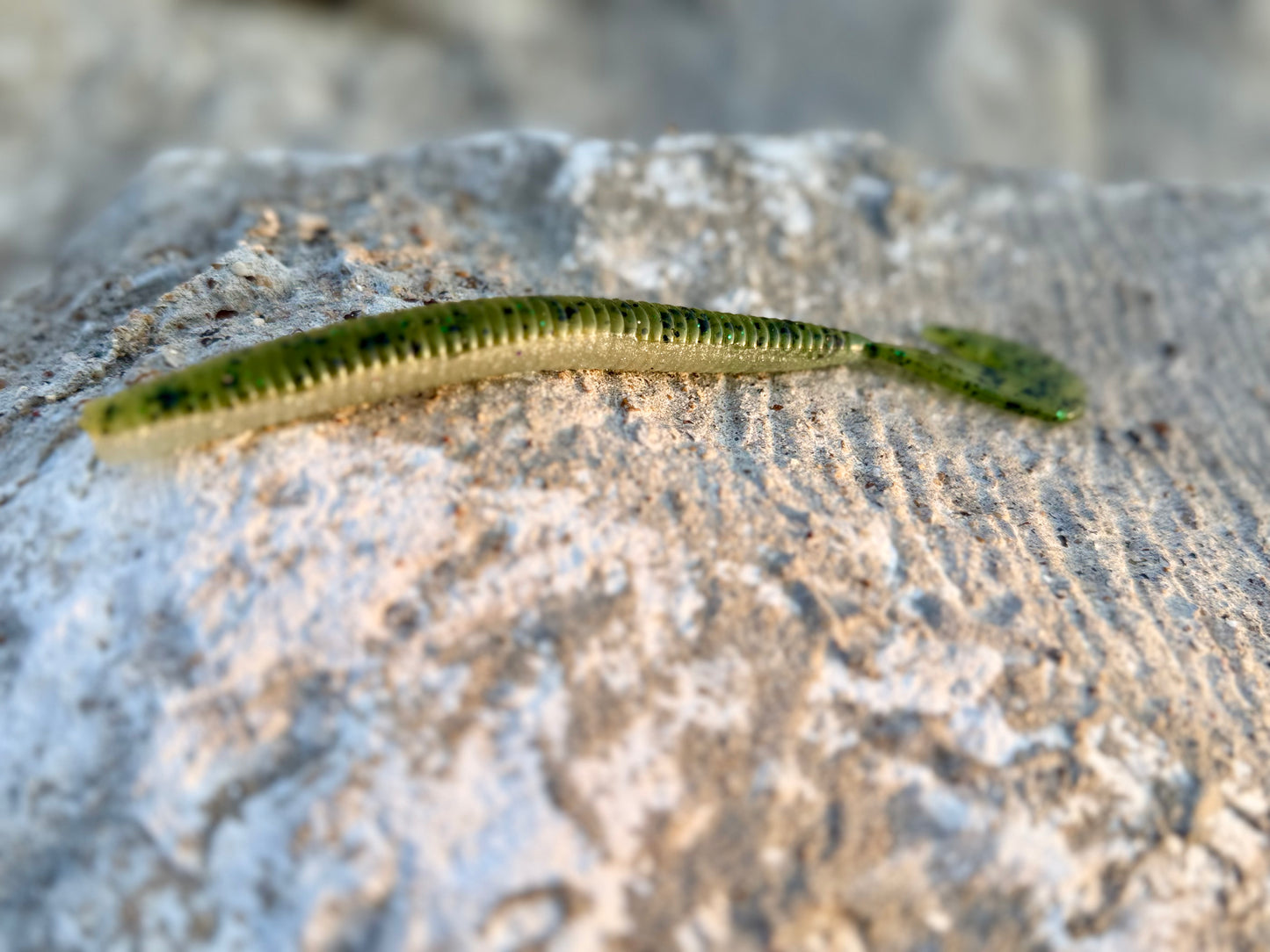 7 inch magnum swimming worm 6pk