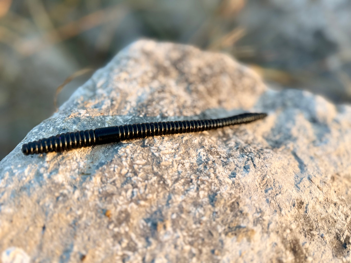 6.25 inch Shaky worm 5pk