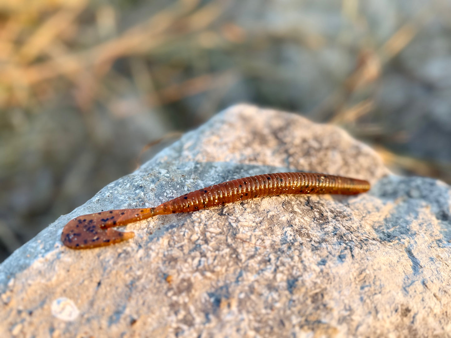 7 inch magnum swimming worm 6pk