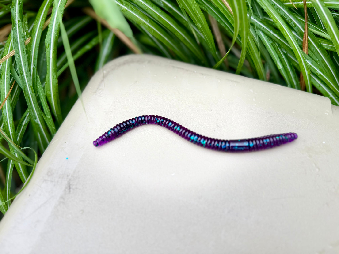 6.25 inch Shaky worm 5pk